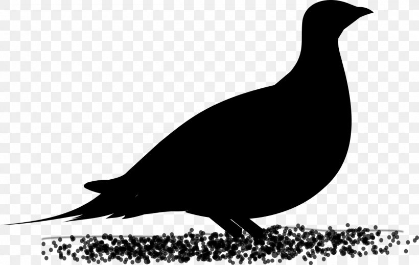 Landfowl Fauna Beak Silhouette Clip Art, PNG, 1280x811px, Landfowl, Beak, Bird, Blackbird, Fauna Download Free