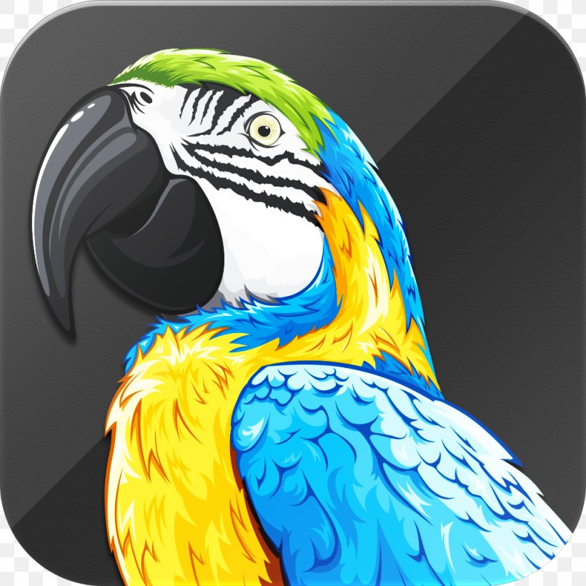 Macaw Parrot Talking Bird Beak, PNG, 1024x1024px, Macaw, App Store, Beak, Bird, Parrot Download Free