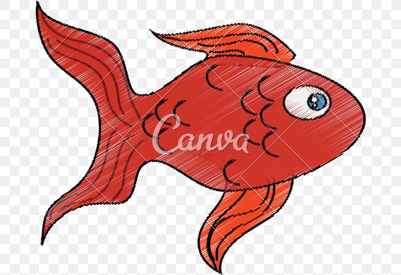 Mouth Cartoon, PNG, 678x563px, Northern Red Snapper, Alamy, Bonyfish, Brazil, Cartoon Download Free