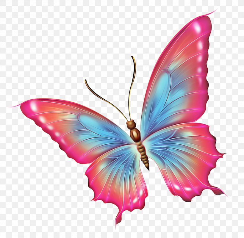 Butterfly Insect Moths And Butterflies Pink Wing, PNG, 1166x1138px, Butterfly, Insect, Lycaenid, Moths And Butterflies, Pink Download Free