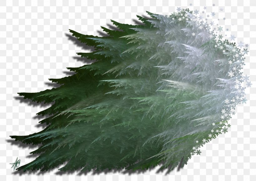 Evergreen Grasses Pine Leaf Family, PNG, 1260x890px, Evergreen, Family, Grass, Grass Family, Grasses Download Free