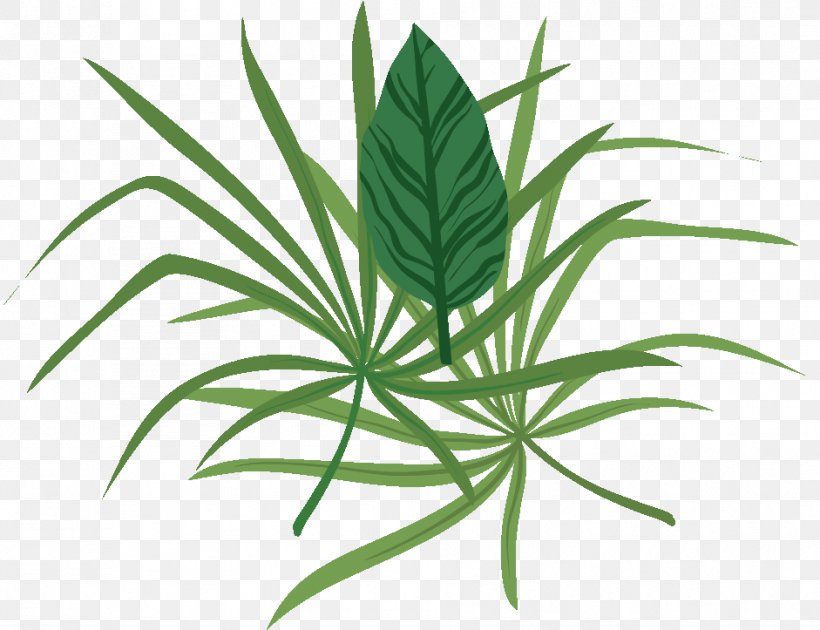 Food Leaf Hemp Plants Herb, PNG, 941x723px, Food, Cordyline, Gift, Gift Card, Grass Download Free