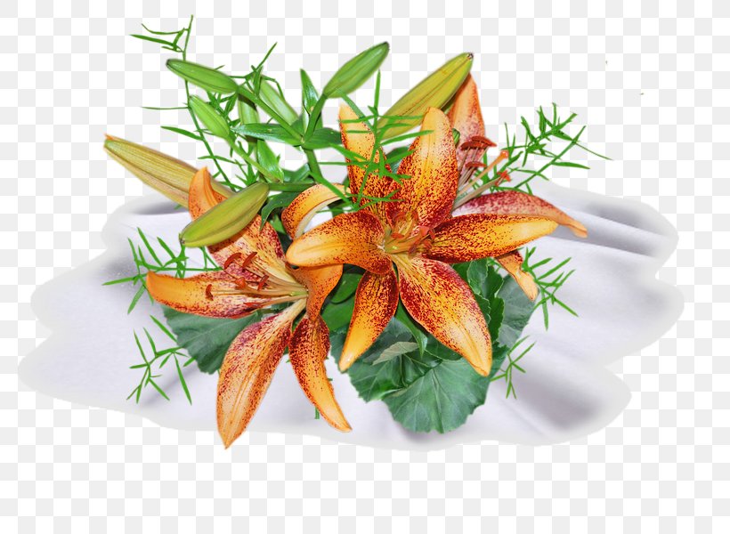 Image Vegetable Garnish Recipe Cuisine, PNG, 800x600px, Vegetable, Cuisine, Dish, Emphasis, Food Download Free