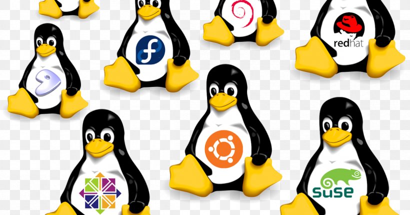 Linux Distribution Operating Systems Open-source Software Computer Software, PNG, 1200x630px, Linux, Beak, Bird, Computer Servers, Computer Software Download Free