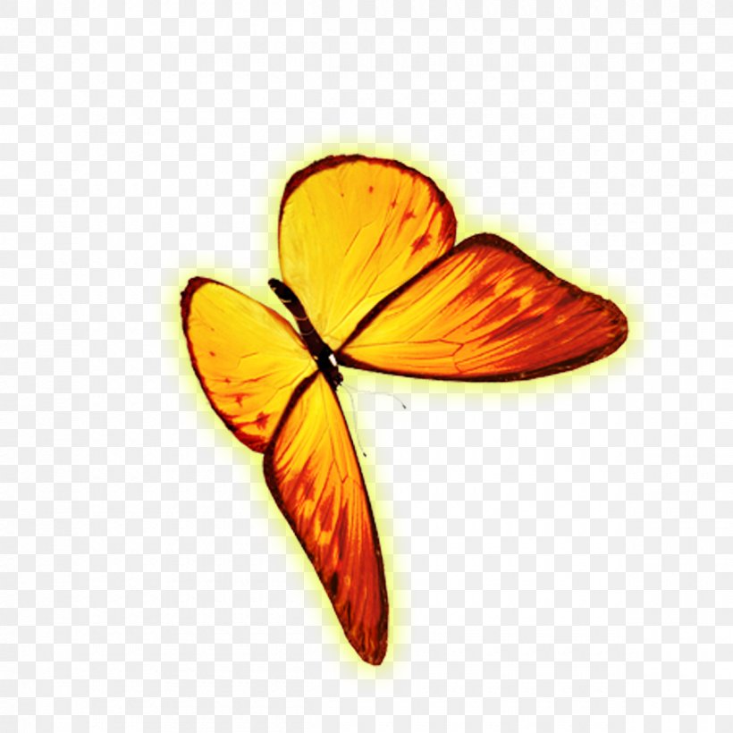 Monarch Butterfly Icon, PNG, 1200x1200px, Butterfly, Animal, Butterflies And Moths, Golden Animals, Insect Download Free