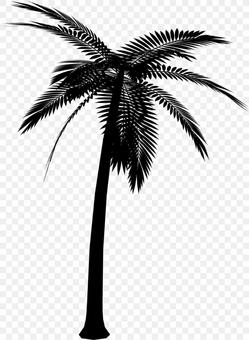 Silhouette Asian Palmyra Palm Clip Art Vector Graphics, PNG, 936x1280px, Silhouette, Arecales, Asian Palmyra Palm, Attalea Speciosa, Blackandwhite Download Free