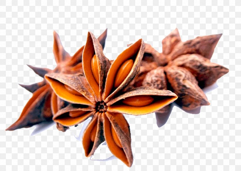 Star Anise Spice Herb Chinese Cuisine, PNG, 896x634px, Star Anise, Anise, Baharat, Chinese Cuisine, Cinnamomum Verum Download Free