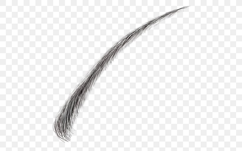 Feather Tail Eyebrow, PNG, 512x512px, Feather, Black And White, Eyebrow, Tail, Wing Download Free