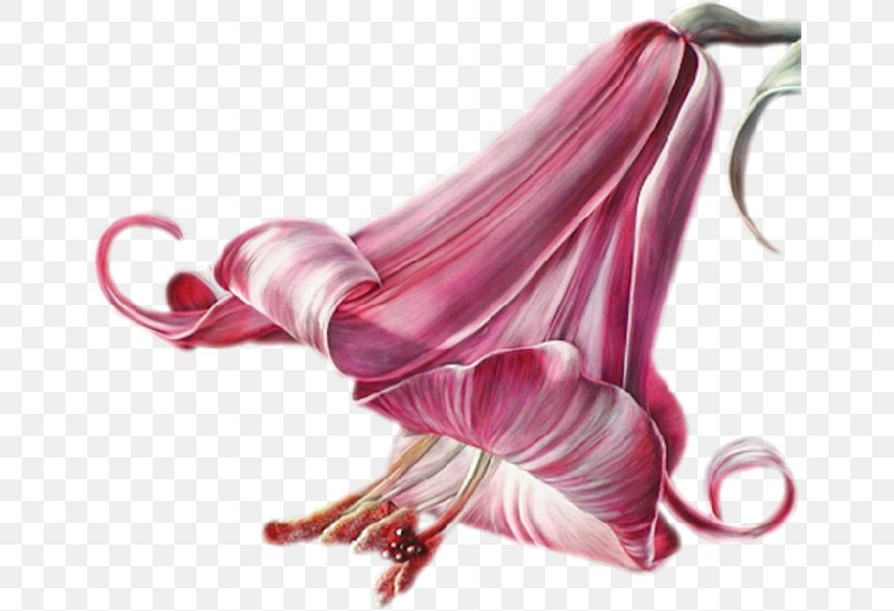 Flower Art Floral Design Lilium, PNG, 651x561px, Flower, Art, Artificial Flower, Avatar, Blog Download Free