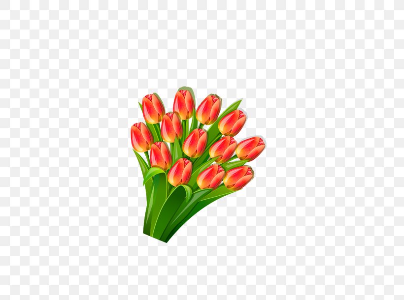 Tulip Lilium Euclidean Vector, PNG, 466x610px, Tulip, Artificial Flower, Cut Flowers, Drawing, Floral Design Download Free