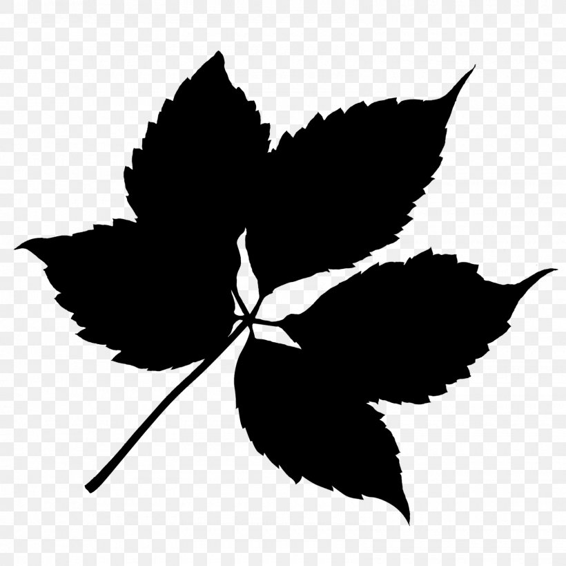 Butterfly Stencil, PNG, 1600x1600px, M Butterfly, Blackandwhite, Branching, Flower, Leaf Download Free