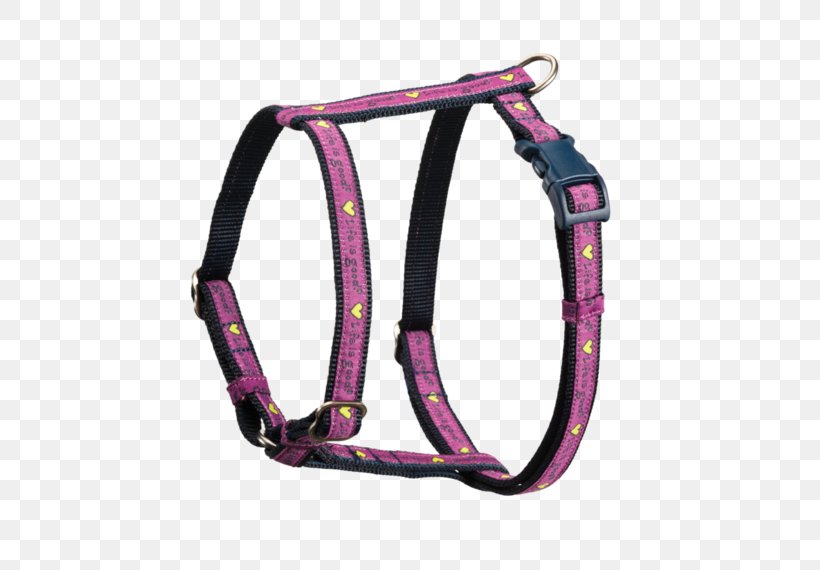Dog Harness Horse Harnesses Dogs Are Not Our Whole Life, But They Make Our Lives Whole. Cat, PNG, 570x570px, Dog, Bowl, Buff, Cat, Ceramic Download Free