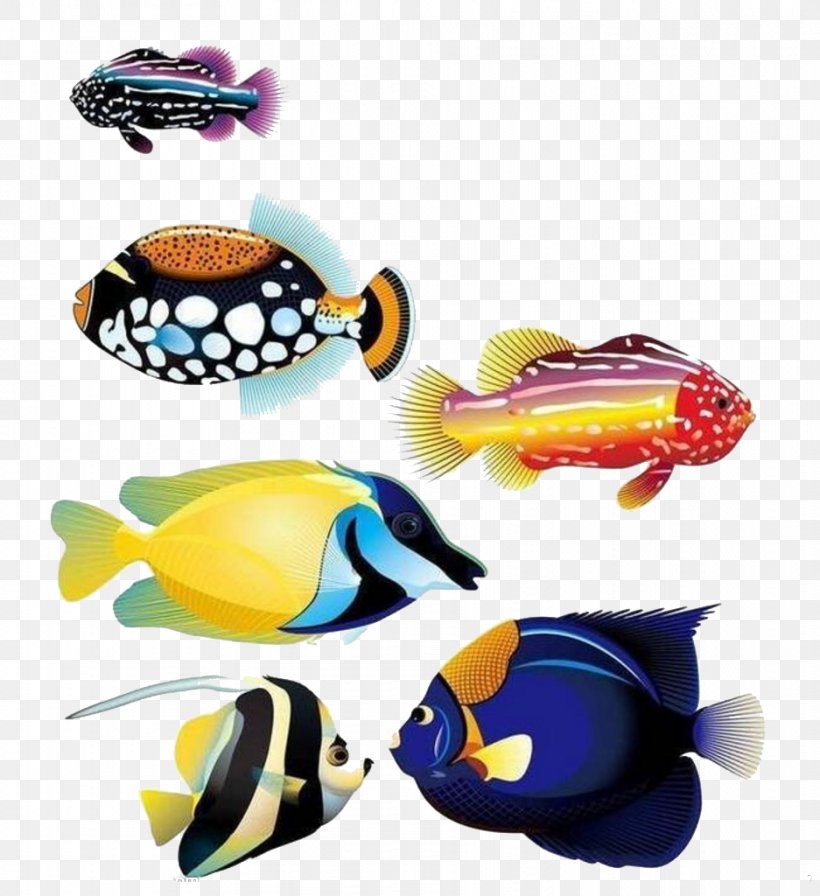 Goldfish Animal Tropical Fish, PNG, 937x1024px, Goldfish, Animal, Aquatic Animal, Blue Glaucus, Deep Sea Fish Download Free