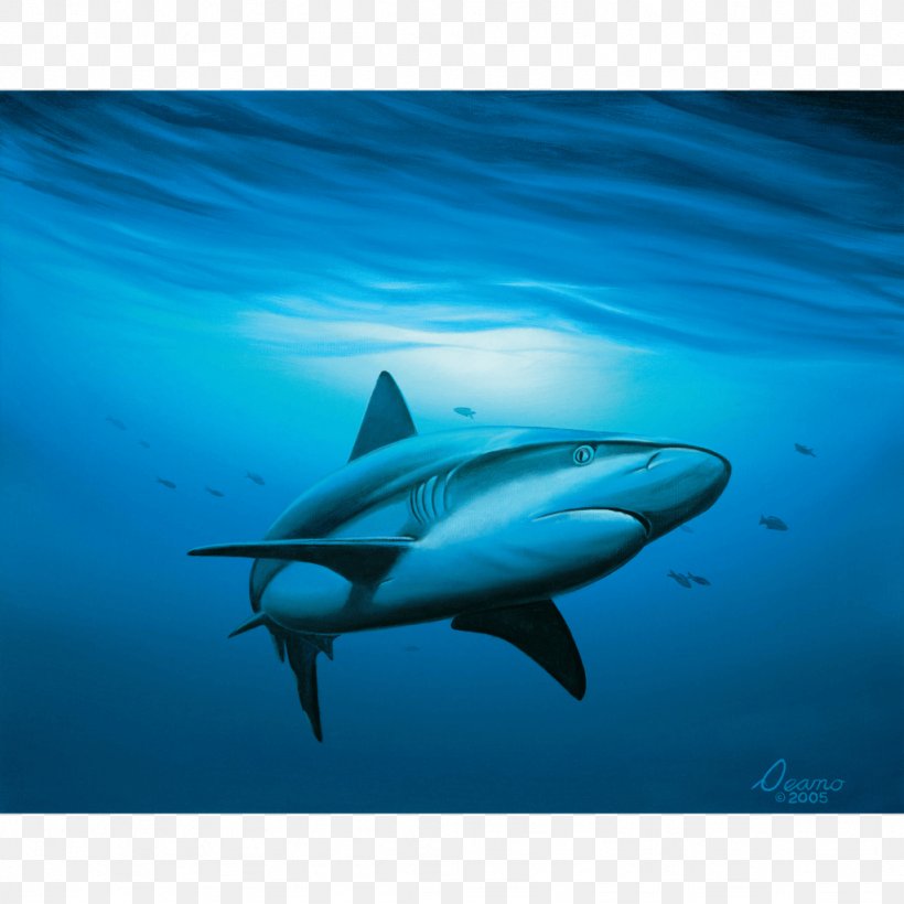 Great White Shark Tiger Shark Canvas Print, PNG, 1024x1024px, Shark, Animation, Aqua, Art, Canvas Print Download Free