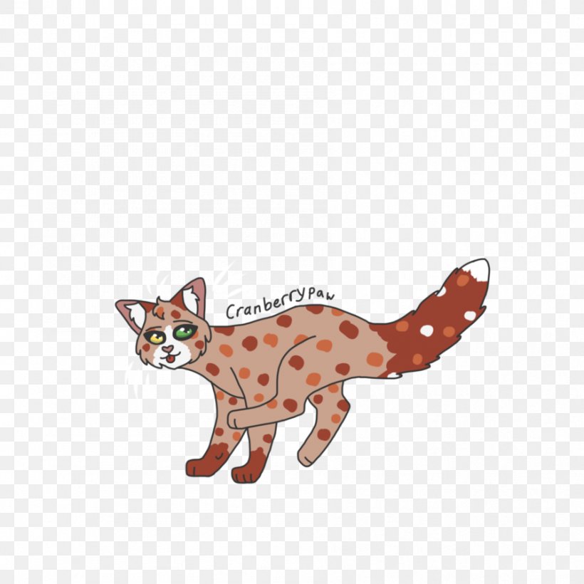 Whiskers Cat Red Fox Cougar Dog, PNG, 894x894px, Whiskers, Animal, Animal Figure, Big Cat, Big Cats Download Free