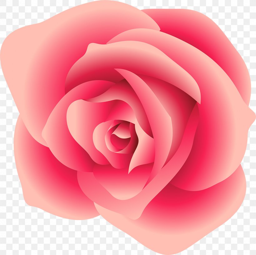 Centifolia Roses Garden Roses Rosaceae Peach Pink, PNG, 1200x1195px, Centifolia Roses, Camellia, Close Up, Closeup, Editing Download Free