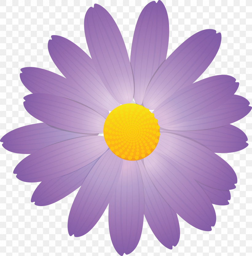 Marguerite Flower Spring Flower, PNG, 2958x3000px, Marguerite Flower, Aster, Camomile, Chamomile, Daisy Download Free