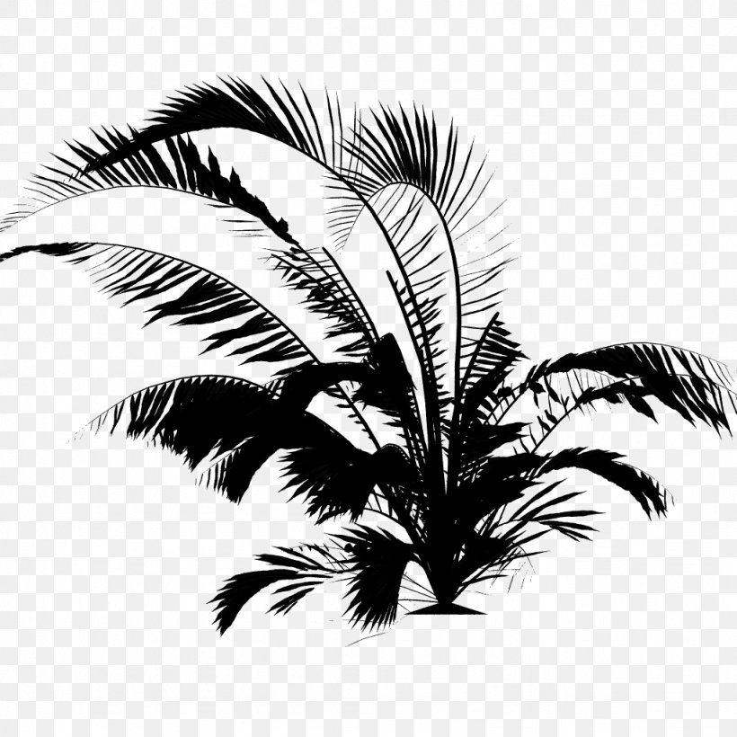 Palm Trees Restaurant Facebook, Inc. Bar, PNG, 1024x1024px, Palm Trees, Arecales, Attalea Speciosa, Bar, Blackandwhite Download Free