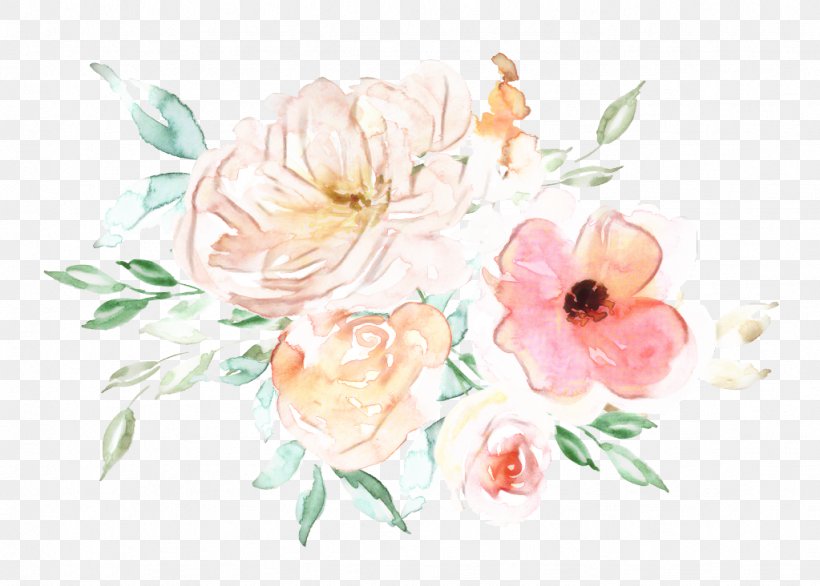 Watercolor Flower Background, PNG, 1023x732px, Cabbage Rose, Anthurium, Blossom, Bouquet, Cut Flowers Download Free