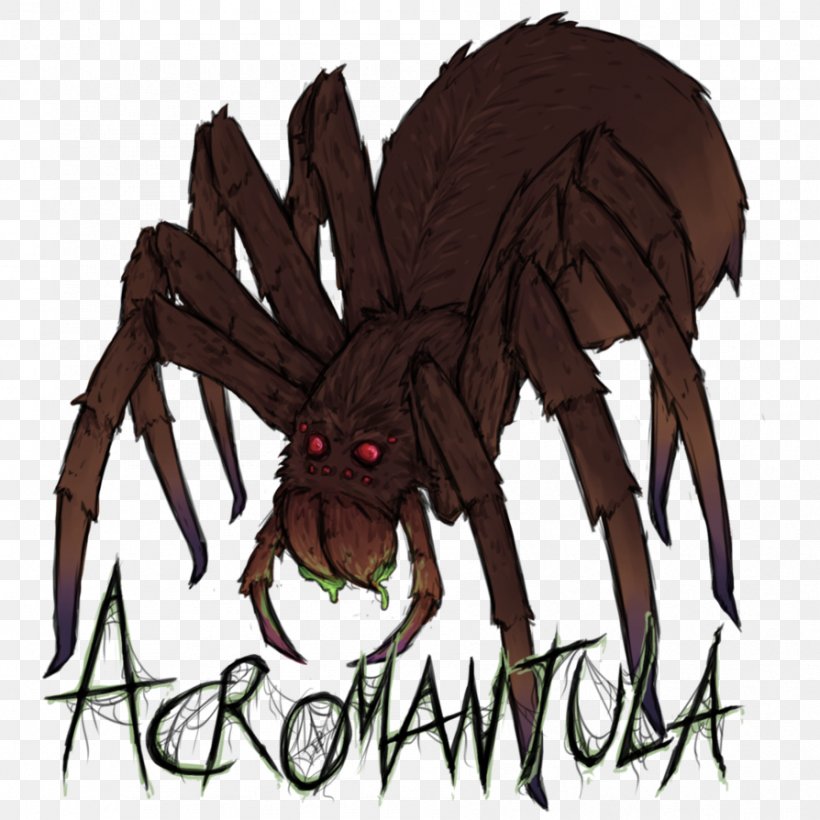 Widow Spiders Drawing Artist Acromantula, PNG, 894x894px, Widow Spiders, Arachnid, Art, Art Museum, Arthropod Download Free