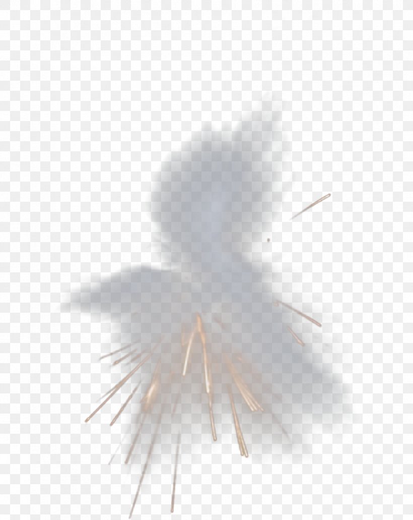 Dust Explosion Dust Explosion Particle, PNG, 945x1189px, Watercolor, Cartoon, Flower, Frame, Heart Download Free