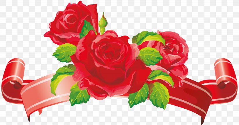 Garden Roses Clip Art Flower Wedding, PNG, 12499x6548px, Garden Roses, Convite, Cut Flowers, Floral Design, Floristry Download Free