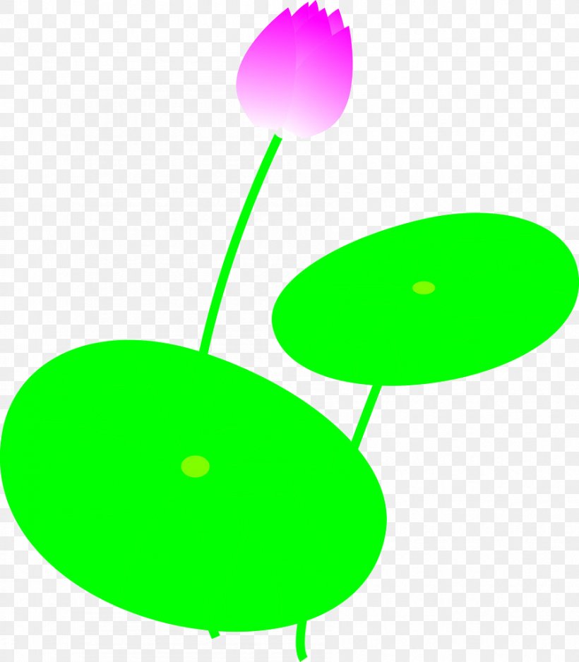 Nelumbo Nucifera Plane, PNG, 895x1024px, Nelumbo Nucifera, Designer, Flower, Grass, Green Download Free