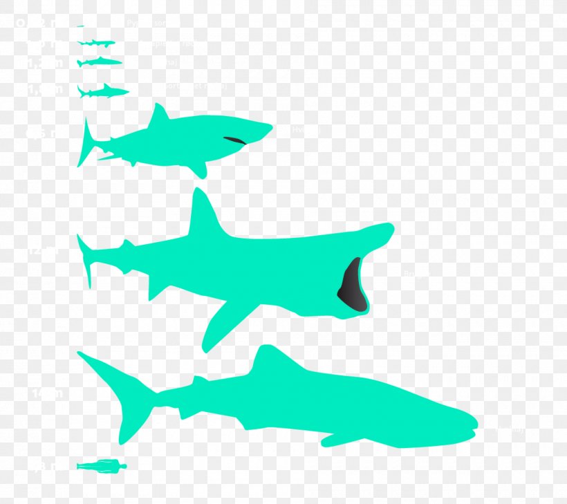 Requiem Sharks Great White Shark Basking Shark Whale Shark, PNG, 1880x1672px, Requiem Sharks, Basking Shark, Blue Shark, Cartilaginous Fish, Denmark Download Free