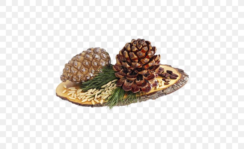 Stone Pine Conifer Cone Pine Nut Cedar Food, PNG, 500x500px, Stone Pine, Cedar, Conifer Cone, Eating, Food Download Free