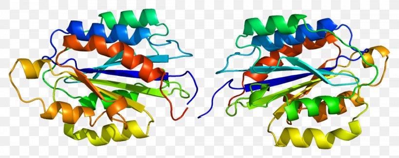 CD49b Integrin Protein Receptor Cell, PNG, 1148x456px, Integrin, Alpha Chain, Biological Membrane, Body Jewelry, Cell Download Free