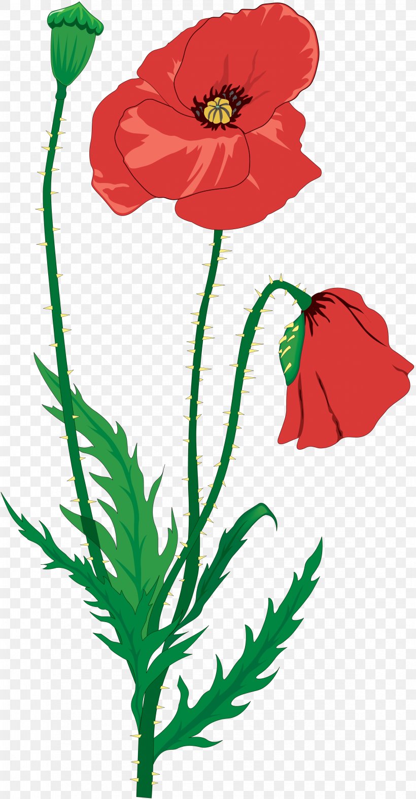 Drawing Flower Clip Art, PNG, 2347x4511px, Drawing, Artwork, Coquelicot, Cut Flowers, Flora Download Free