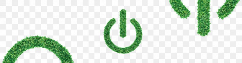 Leaf Green Logo Grasses Font, PNG, 1258x327px, Leaf, Grass, Grass Family, Grasses, Green Download Free