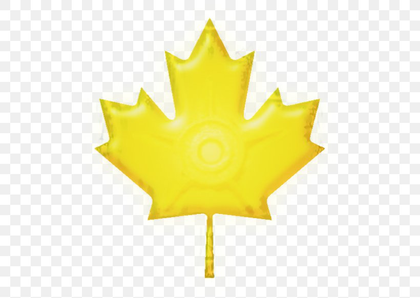 Maple Leaf Flag Of Canada Red Maple Vector Graphics, PNG, 519x582px, Maple Leaf, Canada, Flag Of Canada, Leaf, Maple Download Free