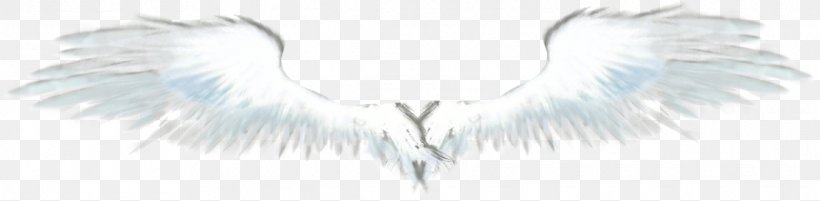 Angel Feather Neck Font, PNG, 1115x274px, Angel, Eyelash, Feather, Fictional Character, Neck Download Free