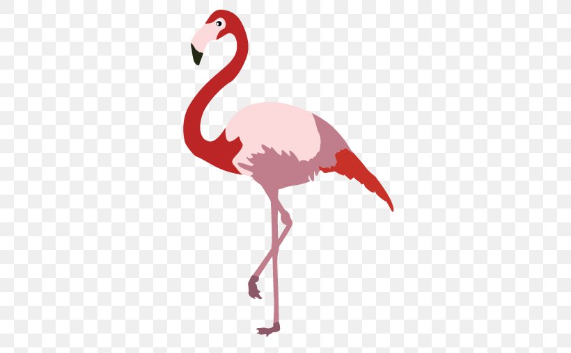 Cartoon Flamingo Bird, PNG, 508x508px, Cartoon, Art, Beak, Bird, Crane Like Bird Download Free