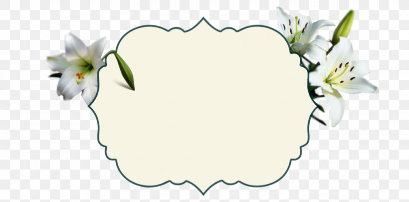 Floral Design Rose Family Cut Flowers, PNG, 1024x507px, Floral Design, Cut Flowers, Flower, Petal, Plant Download Free