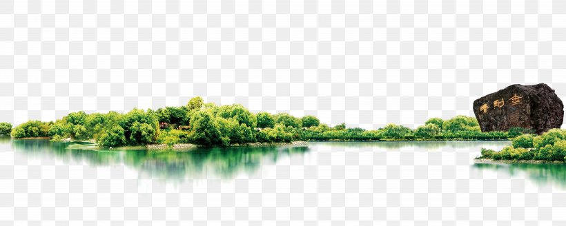 Poster Computer File, PNG, 7087x2843px, Poster, Forest, Grass, Green, Jungle Download Free