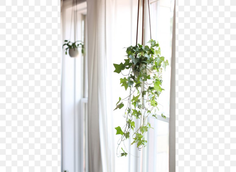 Window Curtain Floral Design Flowerpot, PNG, 600x600px, Window, Curtain, Decor, Floral Design, Flower Download Free