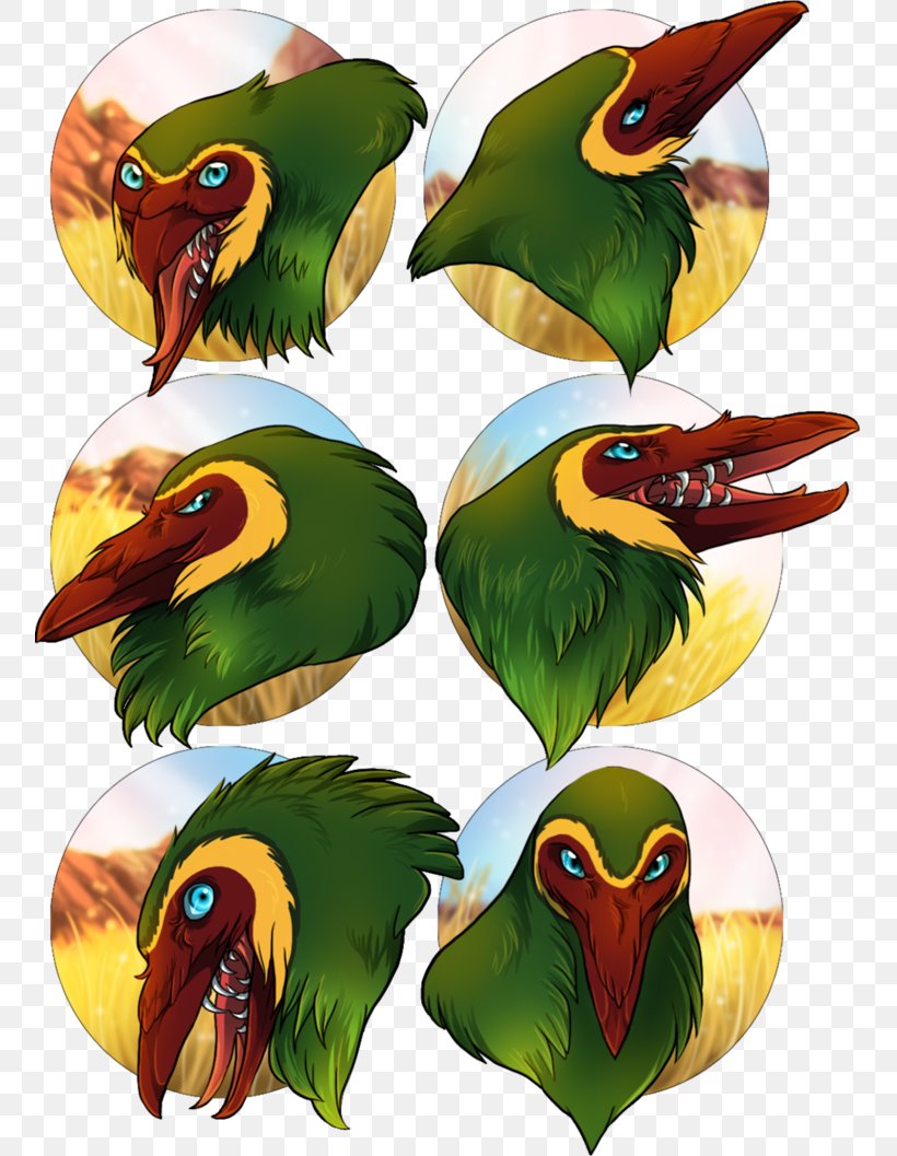 Bird Parrot Toucan Beak Piciformes, PNG, 755x1057px, Bird, Animal, Beak, Fauna, Feather Download Free