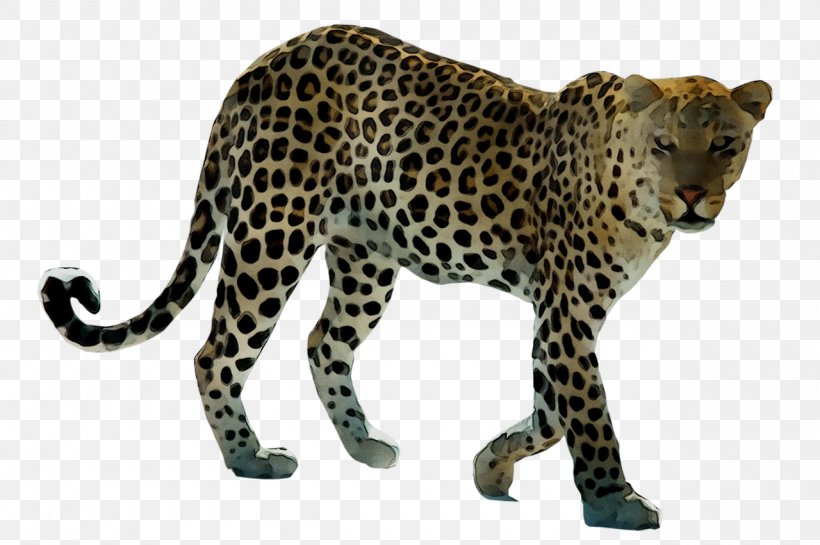 Leopard Tiger Lion Polar Bear, PNG, 1280x851px, Leopard, African Leopard, Animal, Animal Figure, Art Download Free