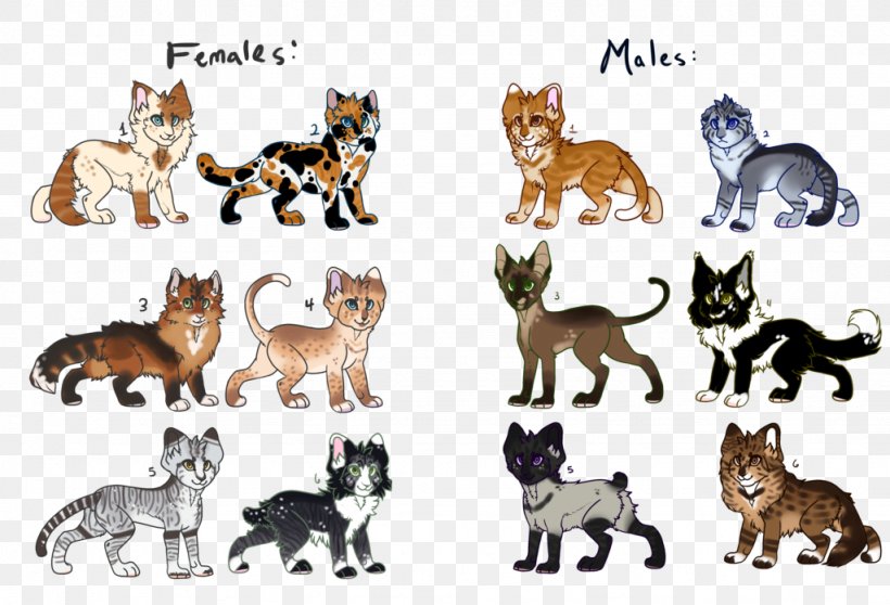 Wildcat Dog Breed Fauna, PNG, 1024x698px, Cat, Animal, Animal Figure, Breed, Carnivoran Download Free