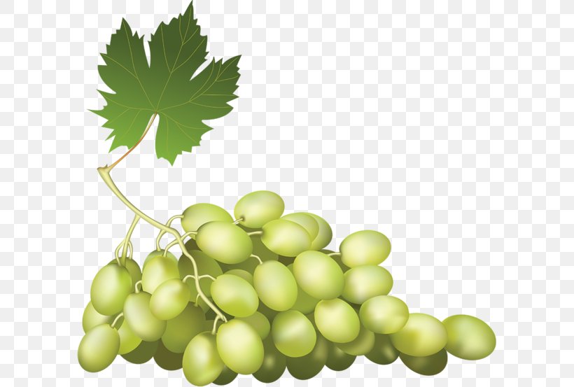 Wine Kyoho Grape Food, PNG, 600x553px, Wine, Berry, Common Grape Vine, Food, Fruit Download Free