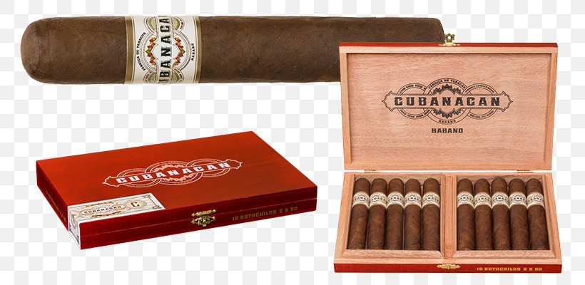Cigar, PNG, 800x400px, Cigar, Box, Tobacco Products Download Free