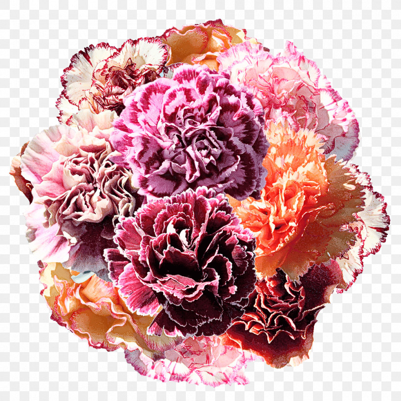 Floral Design, PNG, 1000x1000px, Carnation, Artificial Flower, Cut Flowers, Floral Design, Flower Download Free