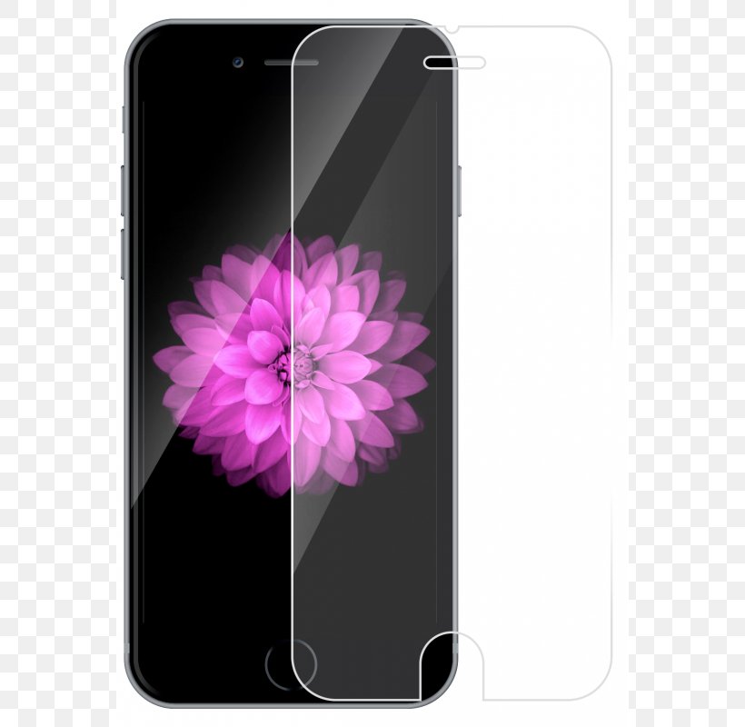 IPhone 6 Plus IPhone 5 IPhone 8 IPhone 6s Plus, PNG, 800x800px, Iphone 6, Flower, Gadget, Ios 8, Iphone Download Free
