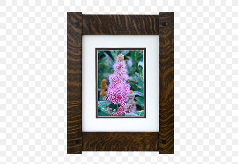 Picture Frames Framing Mirror, PNG, 566x566px, Picture Frames, Craft, Flora, Flower, Framing Download Free