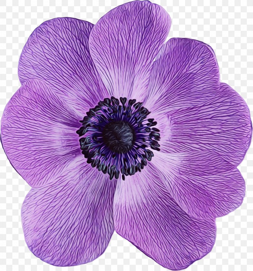 Purple Watercolor Flower, PNG, 1192x1280px, Watercolor, Anemone, Family, Flower, Paint Download Free