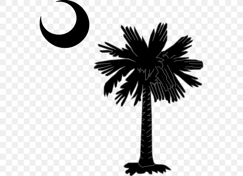 Sabal Palm Arecaceae South Carolina Clip Art, PNG, 552x595px, Sabal Palm, Arecaceae, Arecales, Black And White, Borassus Flabellifer Download Free