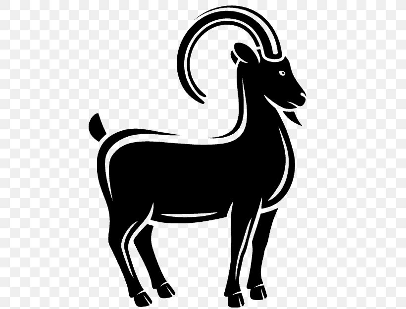 Boer Goat Sheep Caprinae, PNG, 543x624px, Boer Goat, Black And White, Caprinae, Cattle, Cattle Like Mammal Download Free