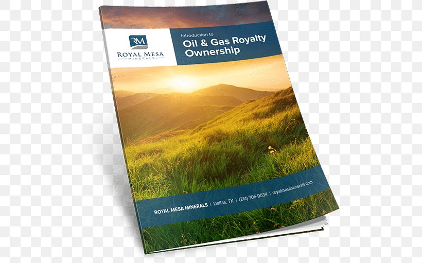 BT Frog: Beginning To Fully Rely On God Paperback Petroleum Brochure Natural Gas, PNG, 500x511px, Paperback, Advertising, Brand, Brochure, Grass Download Free